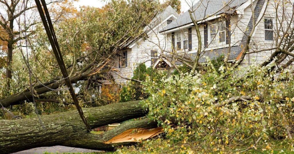 What to Do If Your Hurricane Claim Was Denied